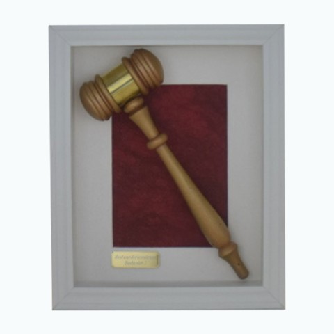 Gouden Voorzittershamer – een Blijk van waardering.